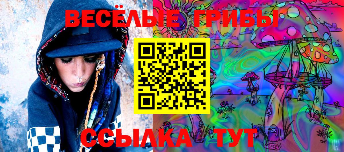 Павлово  закладки  Вход с VPN  Псилоцибиновые грибы Psilocybe 